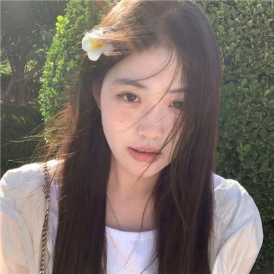 金石情